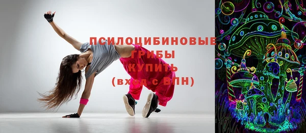 шишки Алексин