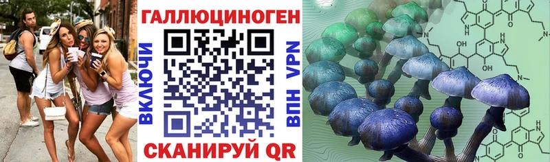 Галлюциногенные грибы Psilocybine cubensis  гидра ССЫЛКА  Шуя 