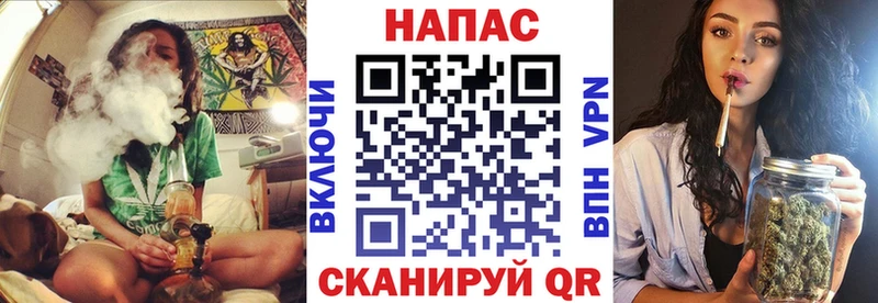 мега ссылка  Шуя  Конопля план 